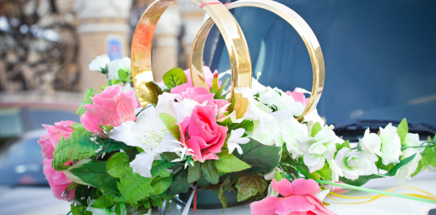 Suspendisse arcu nisl