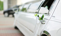 Lorem ipsum dolor sit