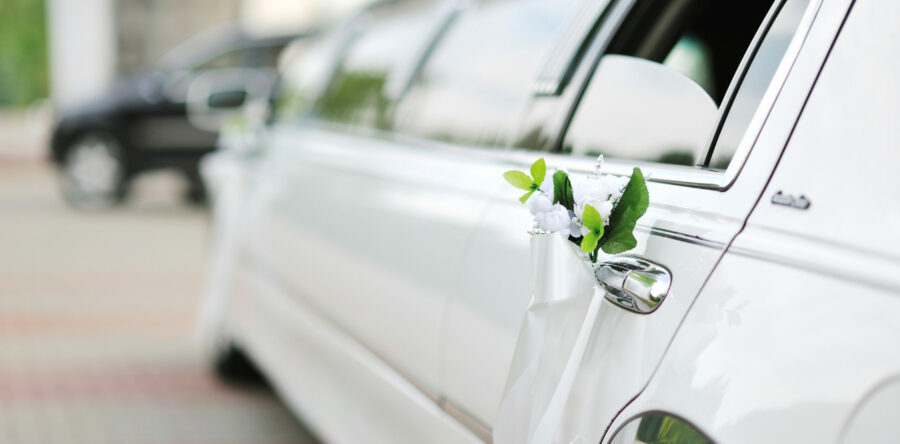 Lorem ipsum dolor sit