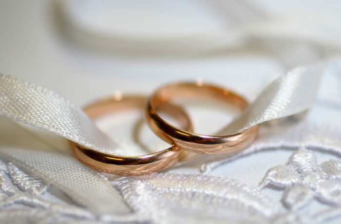 Sed blandit massa vel