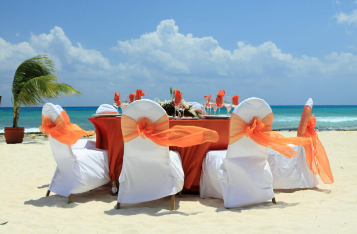 In at metus aliquet, gravida nunc eget